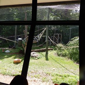 Jun. 2014 - Apes of Africa and Primates of the World - Gorilla Exhibit