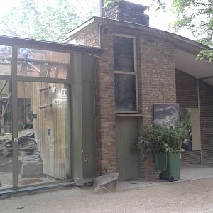 Entrance Ape-house