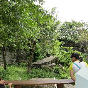 Formosan black bear exhibit