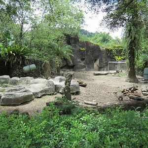 Formosan wild boar exhibit