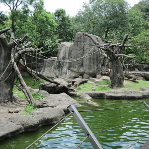 Formosan rock-monkey exhibit