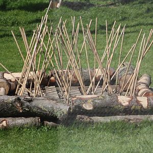 Enrichment in Lemur exhibit, 6th May 2014