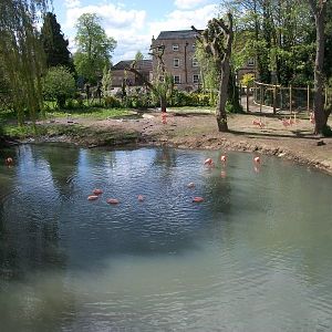 Flamingo Lake, 6th May 2014