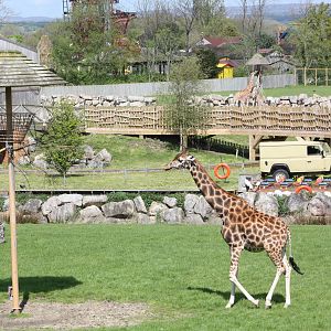 The Lost Kingdom, 6th May 2014