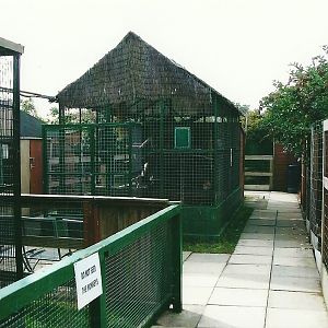 Part of outdoor area, 13th September 2013