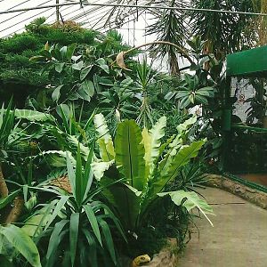 Indoor area, 13th September 2013