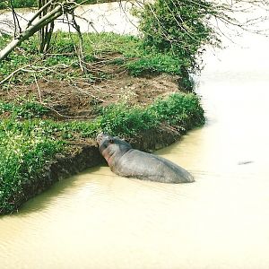 Now you see an island, 2003 or 2004