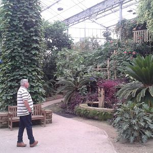Inside the Tropical House