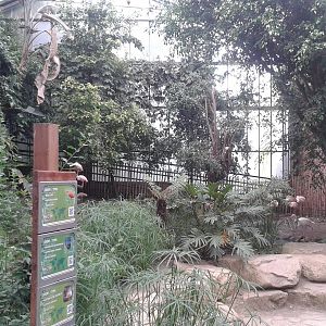 Flamingo corner in the Tropical House