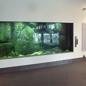 $45 Million Expansion (2014) - Lake Malawi Exhibit (5 Species)