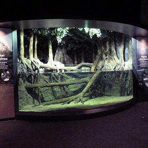 $45 Million Expansion (2014) - Tropical New Guinea Exhibit (Fly River)