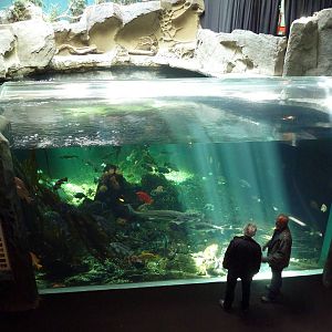 Strait of Georgia Tank