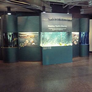 $45 Million Expansion (2014) - Stanley Park's Shores Exhibits