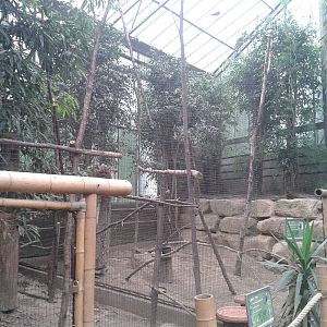 Hornbill aviaries