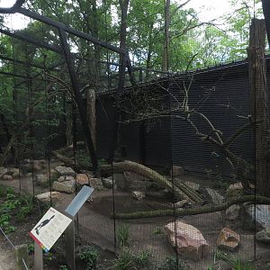 New currassow aviary