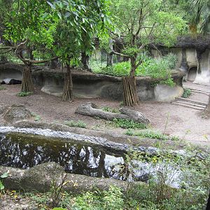Malayn tapir/Lar gibbon exhibit