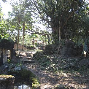Addax enclosure(may transfer to the Bongos)