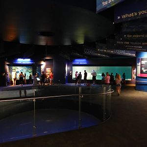 Jun. 2014 - Oceans - (3 Tanks - 23 Species)