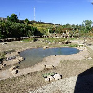 African Savanna Exhibit