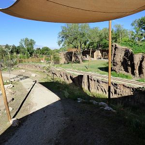 African Savanna Exhibit