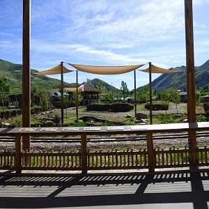 African Savanna Exhibit