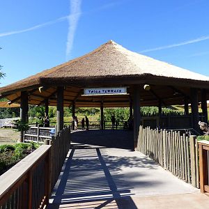 African Savanna - Twiga Terrace