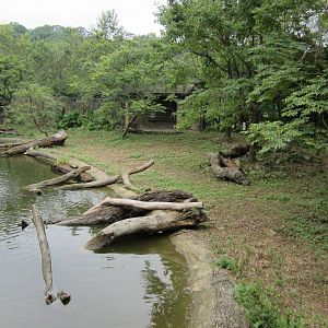 Formosan sika enclosure(old P?re David's deer exhibit)