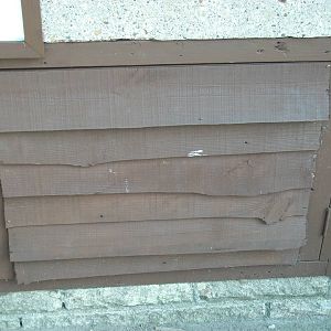 Phew! 20th June 2014