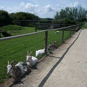 Main pathway, 19th June 2014