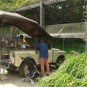 Landrover half in the lion-enclosure