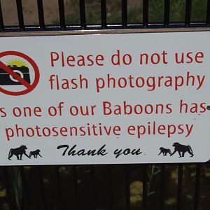 No Flash for a Very Good Reason at Yorkshire WP, 21/06/14