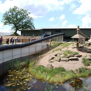 Baboon Enclosure and Viewing at Yorkshire WP, 21/06/14