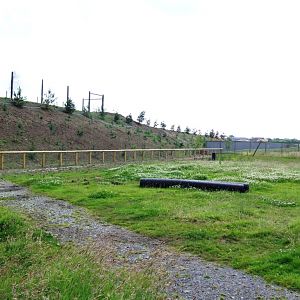 Polar Bear Enclosure Construction at Yorkshire WP, 21/06/14
