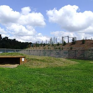 Polar Bear Enclosure Construction at Yorkshire WP, 21/06/14