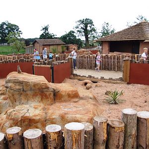 New Meerkat/Yellow Mongoose Complex at Yorkshire WP, 21/06/14