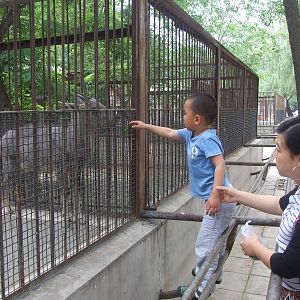 Guardrail? Wire mesh? No problem!