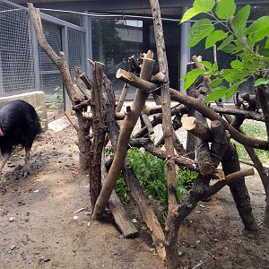 Benjeshecken? How to say this in English?