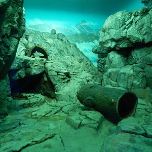 Jun. 2014 - Night Hunters - Pallas Cat Exhibit (Find Both)