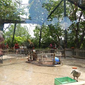 Jun. 2014 - New 2014! - Kea Encounter