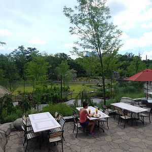 Jun. 2014 - Africa - The Savannah Overlook