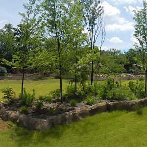 Jun. 2014 - Africa - Updated African Plains Exhibit - Opens June 28th (8 Sp