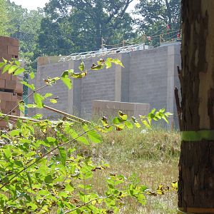 sneak peek of new reptile/amphibian building