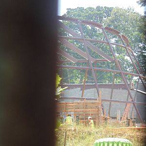 Sneak Peek of new reptile/amphibian building