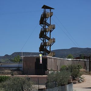 zip tower and reptile exhibit