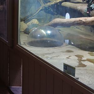 pop up snake exhibit