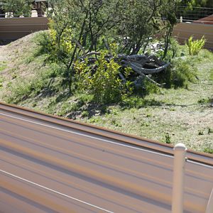 new outdoor lizard exhibit