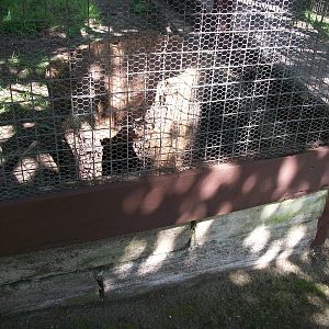 Currently empty exhibit refurbished by KeeperKatie and madgeandshane, 21st