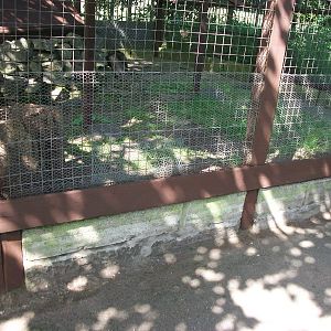 Currently empty exhibit refurbished by KeeperKatie and madgeandshane, 21st