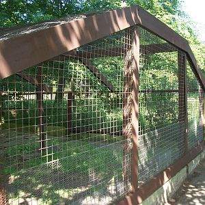 Currently empty exhibit refurbished by KeeperKatie and madgeandshane, 21st