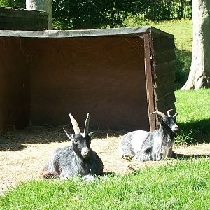 Ryal and Angel enjoying another glorious day at sunny Sewerby, 21st June 20